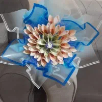 کریرر ن و ز اد|کلکسیون سکه، تمبر، اسکناس|کرمانشاه, |دیوار