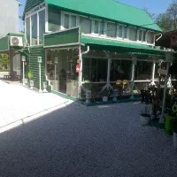 سفارشگیر و سالندار