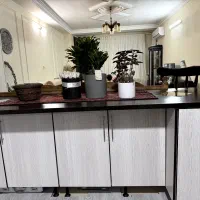 هود سینک و ‌کابین