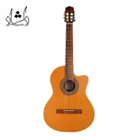 گیتار کلاسیک پارسی مدل Parsi M5 کاتوی|گیتار، بیس، امپلیفایر|شیراز, شهرک مفتح|دیوار