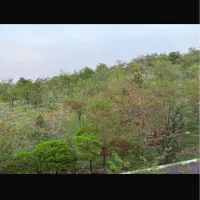 فروش آپارتمان ویلایی ۱۵۳ متری ۲ خوابه