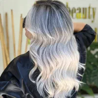 دستیار به همراه آموزش صفرتا صد مبتدی وحرفه ای