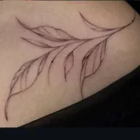 تتوی بدن بانوان|خدمات آرایشگری و زیبایی|سنندج, |دیوار