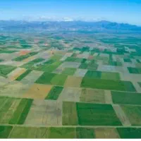 زمین کشاورزی تو نقد بده اجاره با بالاترین قیمت