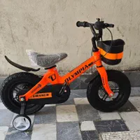 سایز ۱۲ المپبا منیزیوم