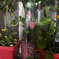 گل وگلدان وجاشمعی|گل مصنوعی|بروجرد, |دیوار