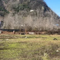 زمین-داخل-طرح-لیلاکوه