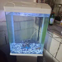 اکواریم بزرگ پایه دار 120 لیتری شیشه خم شرکتی