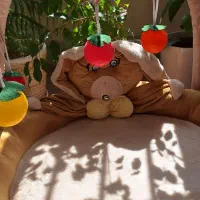 یک هدیه خاص|تخت و صندلی بچه|کاشان, فاز ۲ ناجی آباد|دیوار