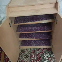 جا کفشی