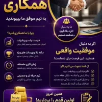 کارباگوشی /فرصتی پولساز/دورکاری