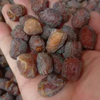 خرمای خاصویی درجه یک بدون شهد بصورت عمده|خوردنی و آشامیدنی|تهران, سلسبیل جنوبی|دیوار