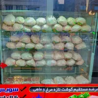 واگزاری مرغ فروشی