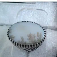 شجر زمینه یخی