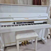 پیانو کاملا نو|پیانو، کیبورد، آکاردئون|بوشهر, |دیوار