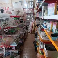 پلاستیک|ظروف نگهدارنده، پلاستیکی، یک‌بارمصرف|نظرآباد, رسالت|دیوار