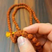 تسبیح رودراکشا هندی اصل