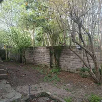 زمین تجاری اداری مسکونی به مساحت۵۶۸متر سنددار|فروش زمین و ملک کلنگی|رحیمآباد, |دیوار