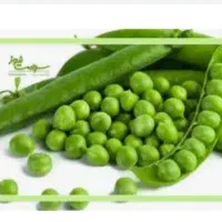 باقالی نخودسبز سبزی هویج