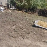 فروش زمین  مسکونی۳۰۰ متر