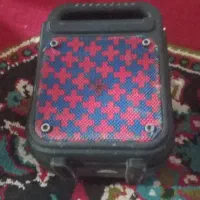 اسپیکر با فلش