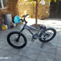 کاپیتان جاده|دوچرخه، اسکیت، اسکوتر|سیلوانه, |دیوار