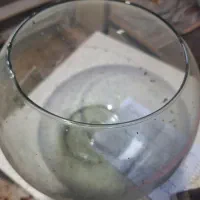 ظرف پلاستیکی و شیشه ای به قیمت|ظروف نگهدارنده، پلاستیکی، یک‌بارمصرف|بروجرد, |دیوار