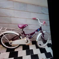 دوچرخه سایز ۱۶سالم، همراه لاستیک یدک|دوچرخه، اسکیت، اسکوتر|قرچک, شهرک گلها|دیوار