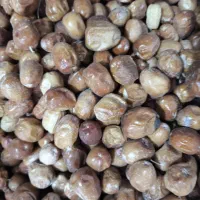 سنجد درجه 1 صادراتی