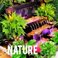 طراحی  و اجرای فضای سبز خانگی و باغی|خدمات باغبانی و درختکاری|اصفهان, عباس‌آباد|دیوار