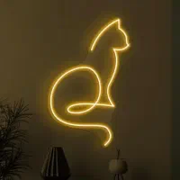 بچه گربه