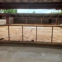 فروش ۴/۵۰۰متر گاوداری سند تک برگ|فروش دفتر صنعتی، کشاورزی، تجاری|ماکلوان, |دیوار