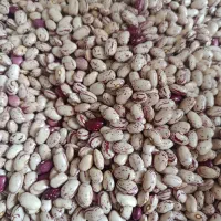 لوبیا چیتی پاک شده