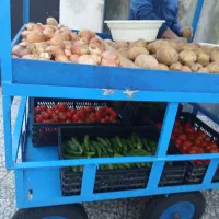 فروش گاری چندمنظوره