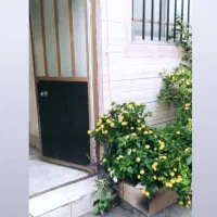 اجاره سوئیت ۵۰ متری در توشیبا