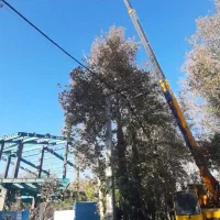 اجاره کمپرسور بادی ،تخریب بتن، حفر چاه|خدمات پیشه و مهارت|صفادشت, |دیوار