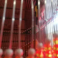 سهره بلند زیبا دم چتری نشون دار|پرنده|کرمان, |دیوار