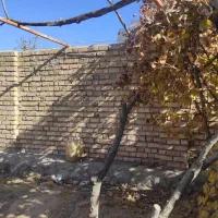 زمین دور دیوار 920متری / باغرود|فروش خانه و ویلا|نیشابور, فضل|دیوار