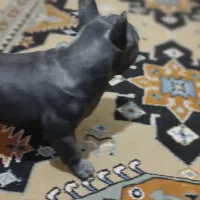 مجسمه سگ نگهبان پیتبول