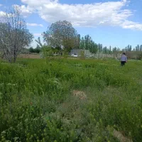 جاده-سرو-حاجی-آباد