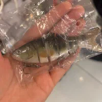 بالا ترین تنوع لور ماهیگیری|ماهیگیری|اصفهان, نقش جهان|دیوار