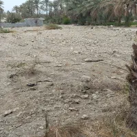 فروش زمین باغی|فروش زمین و ملک کلنگی|رودان, |دیوار