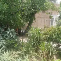 اجاره خانه ویلایی ۲۴۰ متری ۴ خوابه در شهید رمضانی|اجارهٔ دفتر کار، اتاق اداری، مطب|شیراز, قدوسی غربی|دیوار