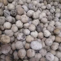 گردو درجه1