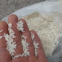 برنج هاشمی فروشی