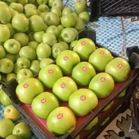 اکیپ سیب چین و خدمات باغ