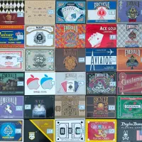 پاسور روغنی رنگ ثابت