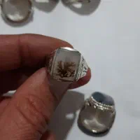 انگشتر شجر|کلکسیون اشیاء عتیقه|کرمانشاه, |دیوار