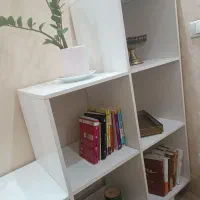 کتابخانه یا ویترین اسپرت یا قفسه اسباب بازی کودک|کتابخانه، شلف، قفسه‌های دیواری|اصفهان, سپاهان‌شهر|دیوار