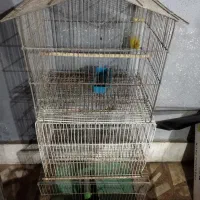 قفس پرنده